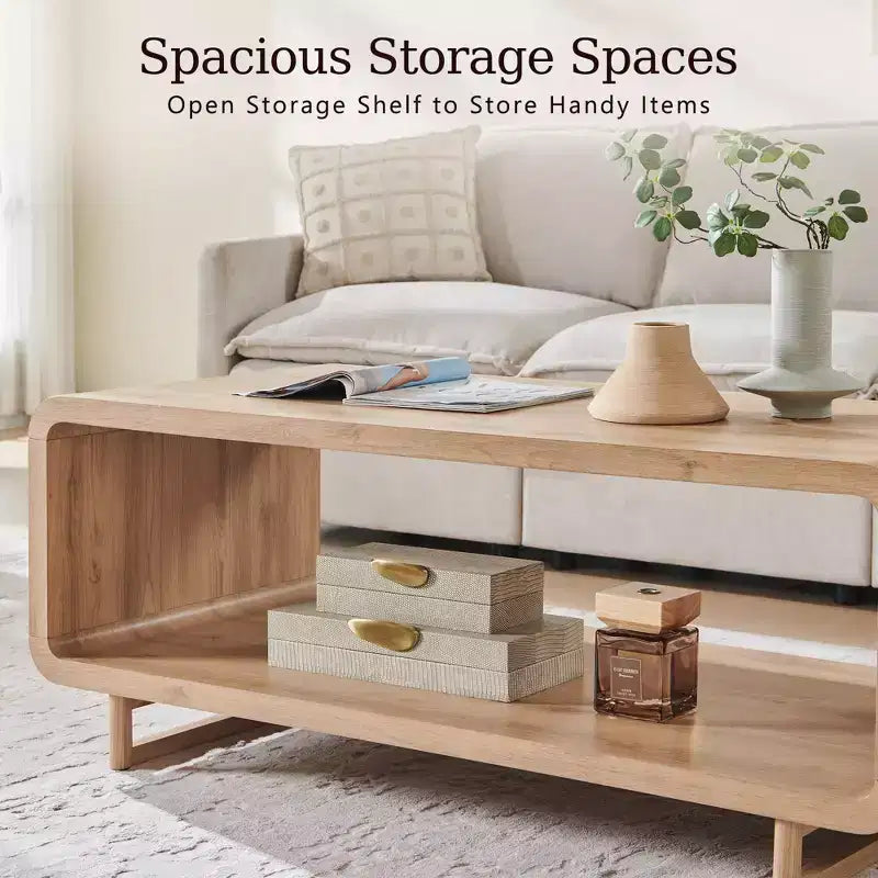 48 Coffee Table, Mondern Coffee Table with 2 Tier Storage Shelf, Wooden Rectangular Living Room Table with Wood Thick for Living Room
