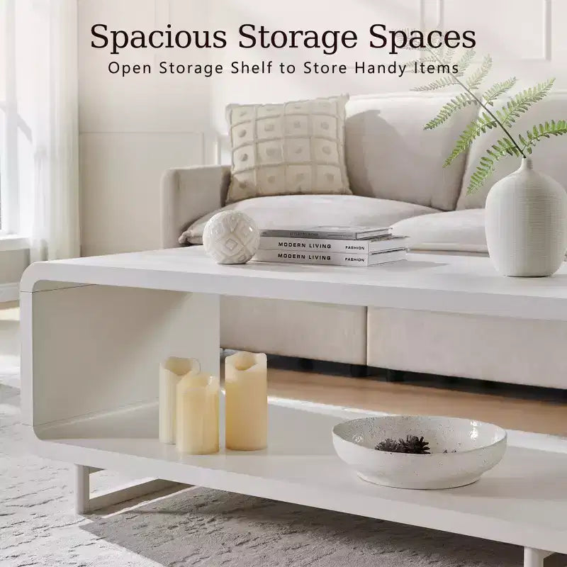 48 Coffee Table, Mondern Coffee Table with 2 Tier Storage Shelf, Wooden Rectangular Living Room Table with Wood Thick for Living Room